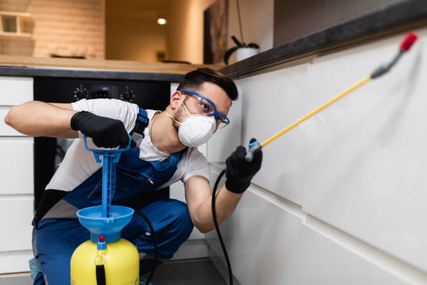 Best Rat Extermination Near Me  in , IL