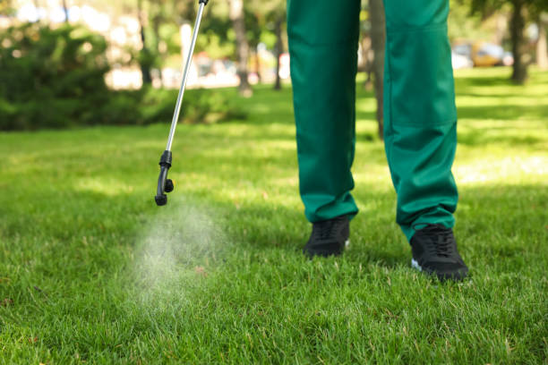 Best Flea Control Services  in , IL