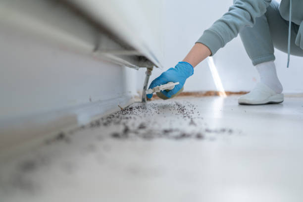 Best Affordable Pest Control Services  in , IL